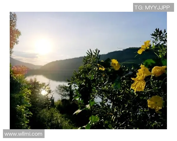 《在绿茵场上与平凡生活之间，他和她的梦想与现实》
