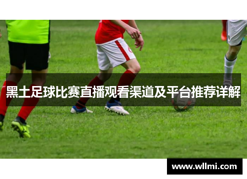 黑土足球比赛直播观看渠道及平台推荐详解
